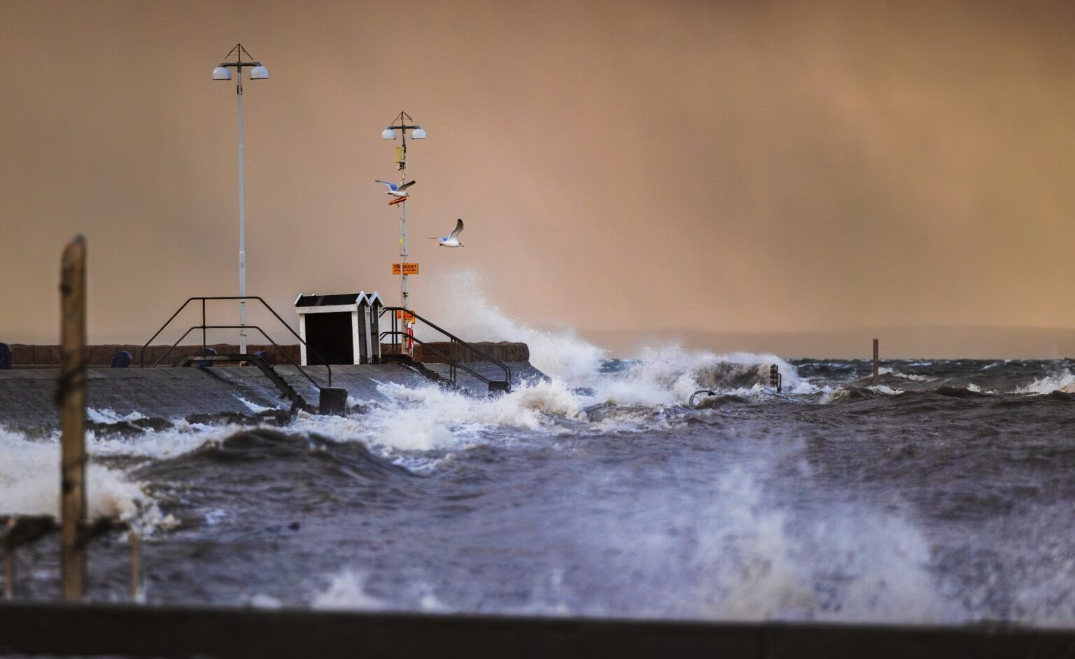Stormvågor vid piren i Landskrona med måsar i flykten