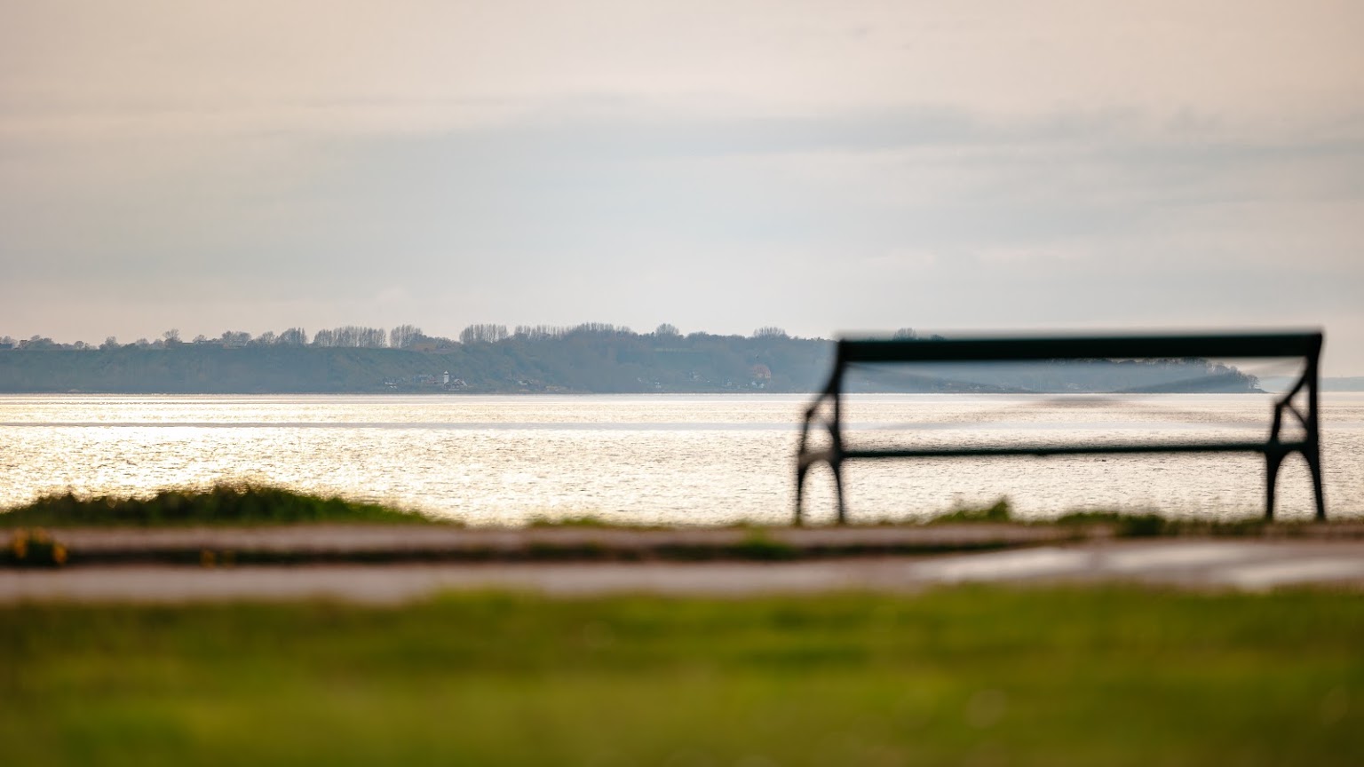 En ensam bänk mot Öresund i kvällsljus